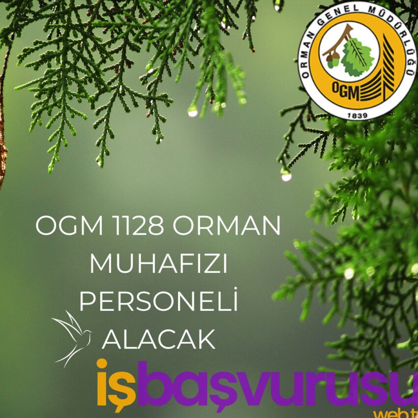 OGM 1128 Orman Muhafıza Memuru Alacak