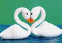 Easy SWAN making in Hindi | Crochet Swan Tutorial | Making of Crochet Bird(Hansa)